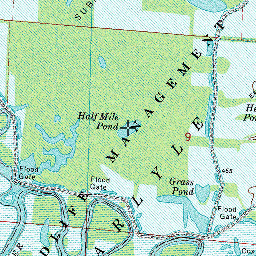 Topographic Map of Half Mile Pond, IL