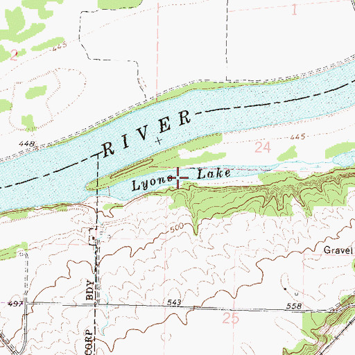 Topographic Map of Lyons Lake, IL