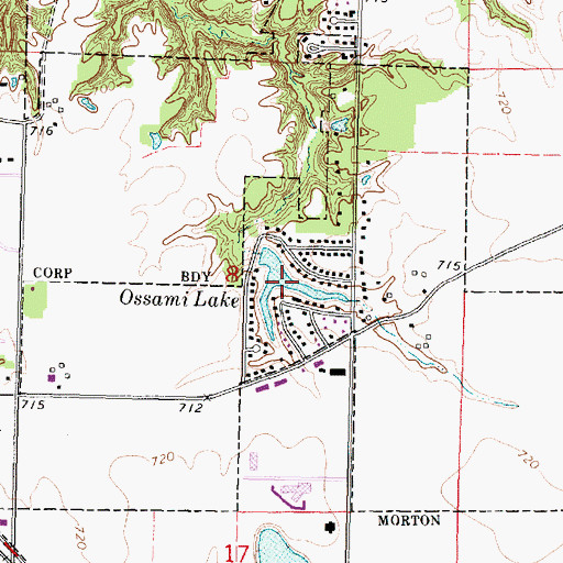 Topographic Map of Ossami Lake, IL