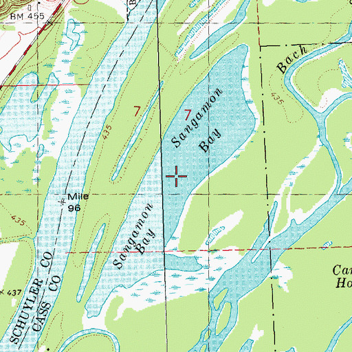 Topographic Map of Sangamon Bay, IL