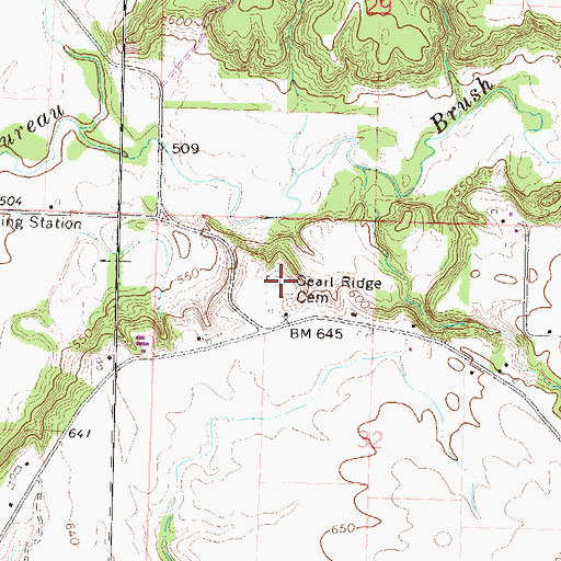 Topographic Map of Searl Ridge Cemetery, IL