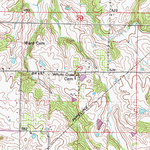 Topographic Map of White Oak Cemetery, IL