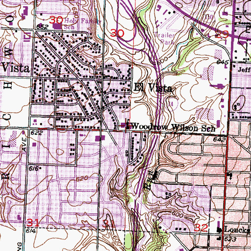 Topographic Map of Woodrow Wilson Primary School, IL