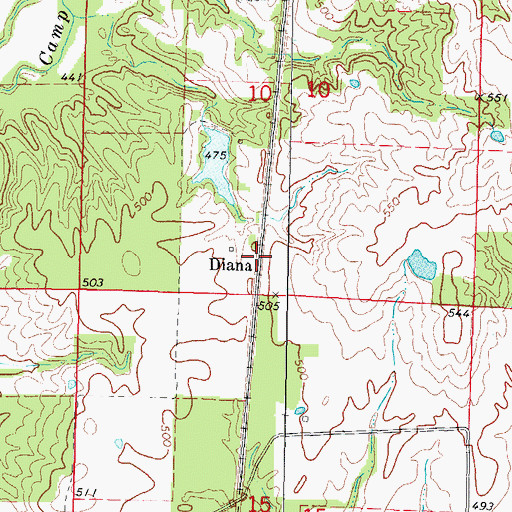 Topographic Map of Diana, IL