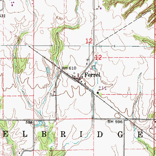 Topographic Map of Ferrel, IL