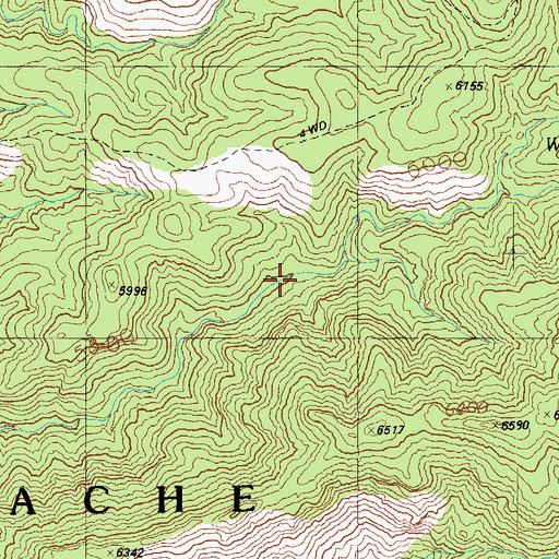 Topographic Map of Webster Spring, AZ