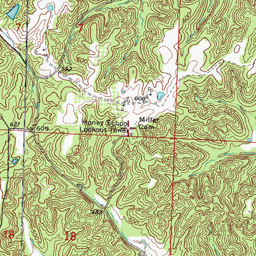 Topographic Map of Honey School Lookout Tower, IL