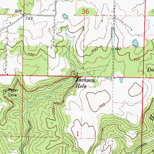Topographic Map of Jackson Hole, IL
