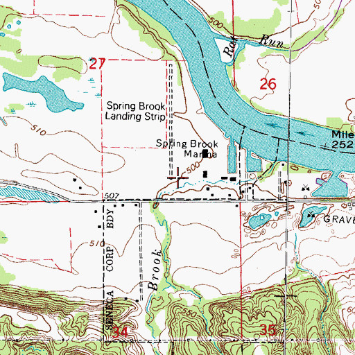 Topographic Map of Spring Brook Airport, IL