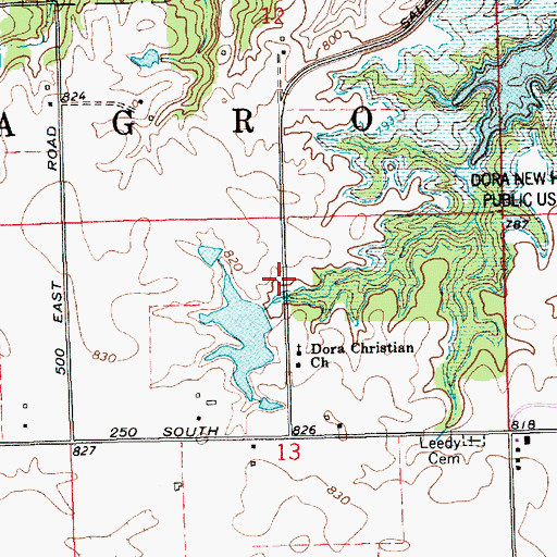 Topographic Map of Dick Thomas Pond Dam, IN