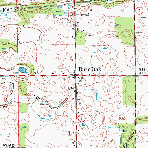 Topographic Map of Burr Oak, IN