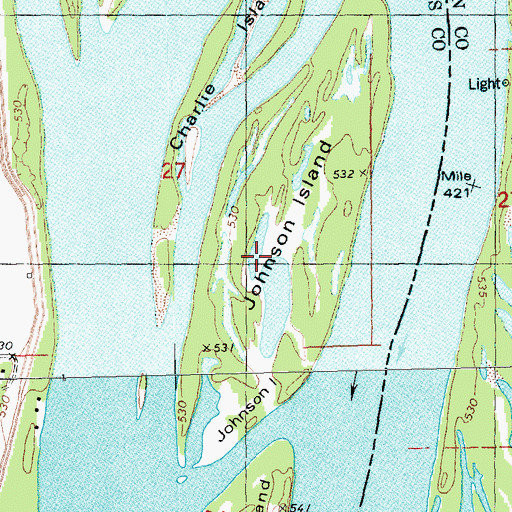 Topographic Map of Johnson Island, IA