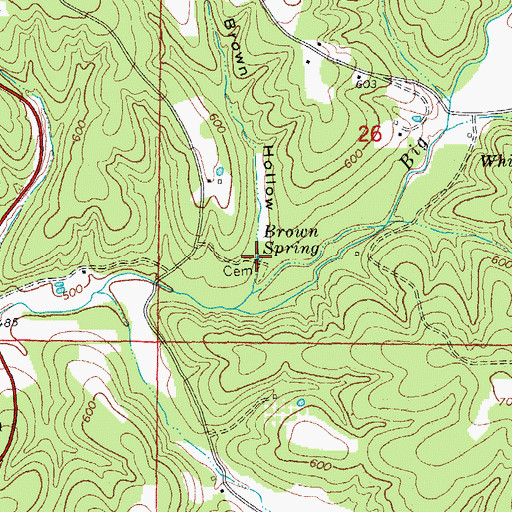 Topographic Map of Brown Spring, AR