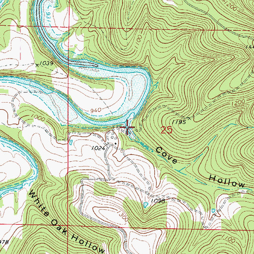 Topographic Map of Cove Hollow, AR