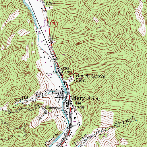 Topographic Map of Beech Grove School, KY
