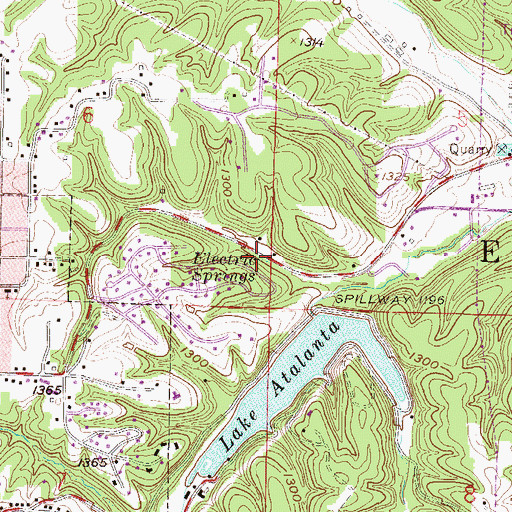 Topographic Map of Electric Springs, AR
