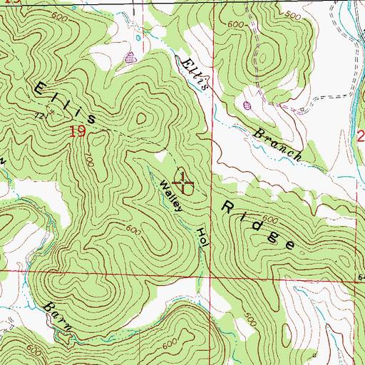 Topographic Map of Ellis Ridge, AR