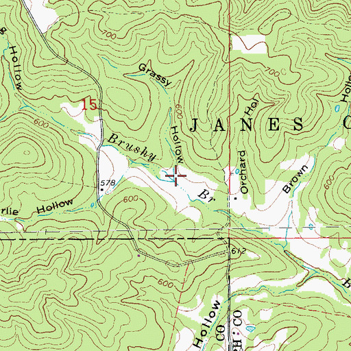 Topographic Map of Grassy Hollow, AR