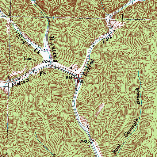 Topographic Map of Licking Fork, KY