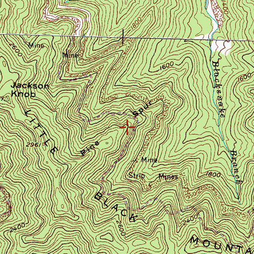 Topographic Map of Pine Spur, KY