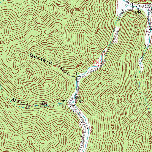 Topographic Map of Buzzard Hollow, KY
