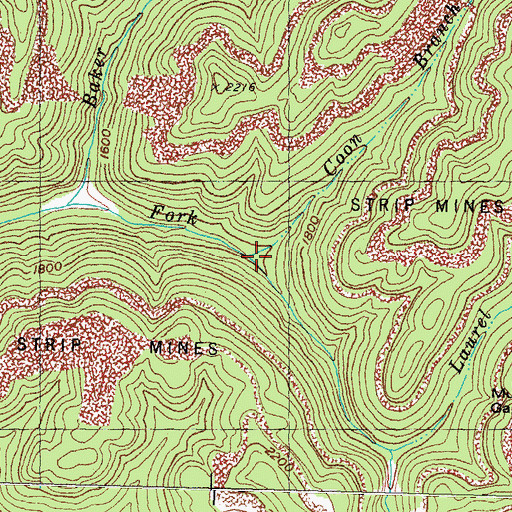 Topographic Map of Coon Branch, KY