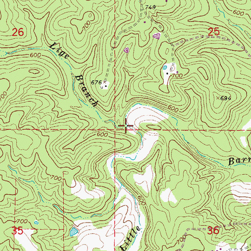 Topographic Map of Lige Branch, AR