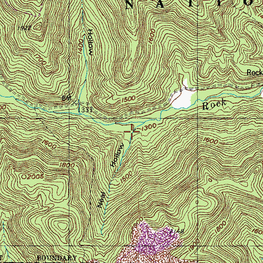 Topographic Map of Neal Hollow, KY