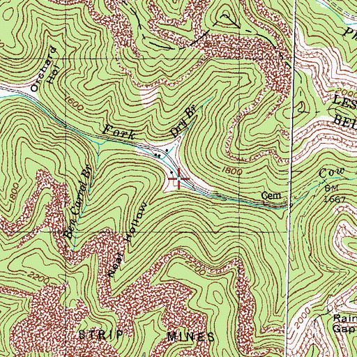 Topographic Map of Neal Hollow, KY