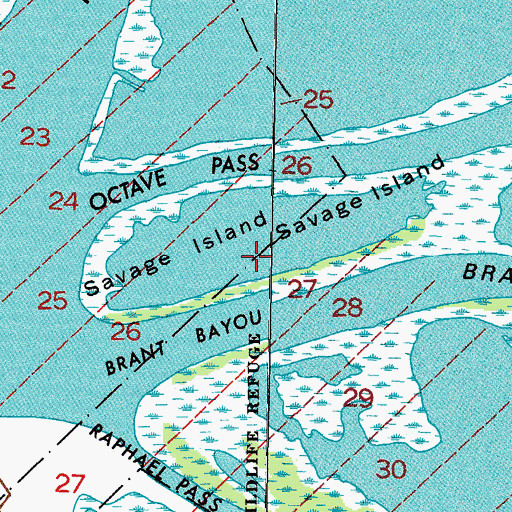 Topographic Map of Savage Island, LA