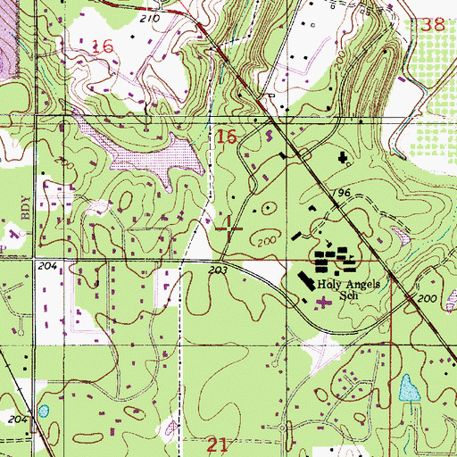 Topographic Map of Ellerbe Woods, LA