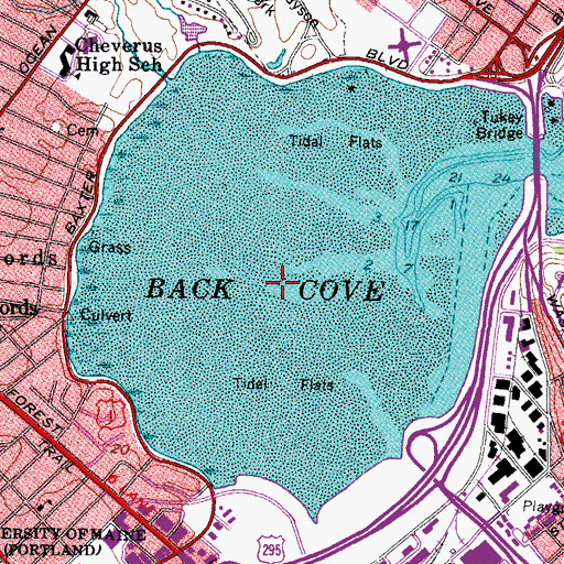 Topographic Map of Back Cove, ME