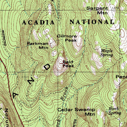 Topographic Map of Bald Peak, ME