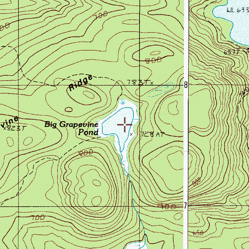 Topographic Map of Big Grapevine Pond, ME
