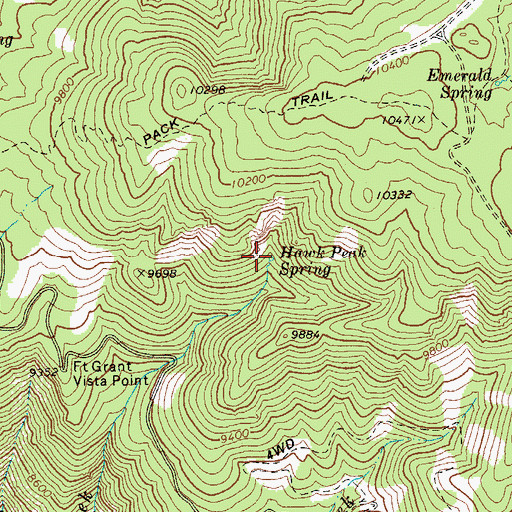 Topographic Map of Hawk Peak Spring, AZ