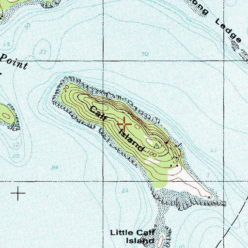 Topographic Map of Calf Island, ME