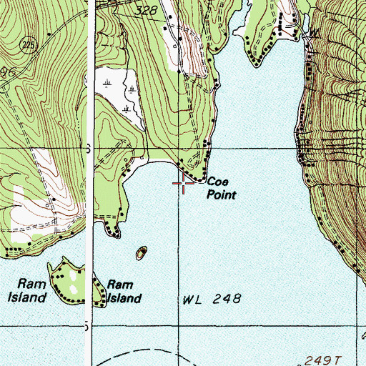 Topographic Map of Coe Point, ME