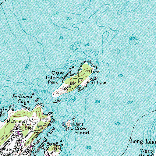 Topographic Map of Cow Island, ME