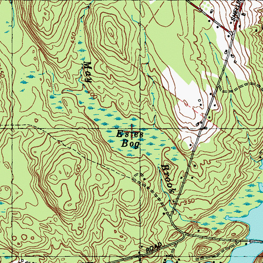 Topographic Map of Estes Bog, ME