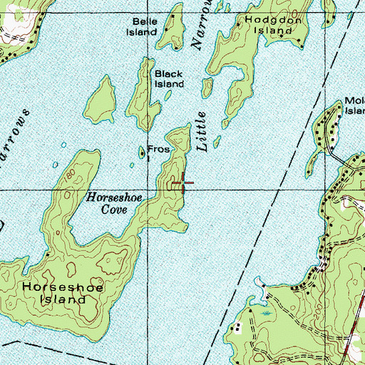 Topographic Map of Frog Island, ME