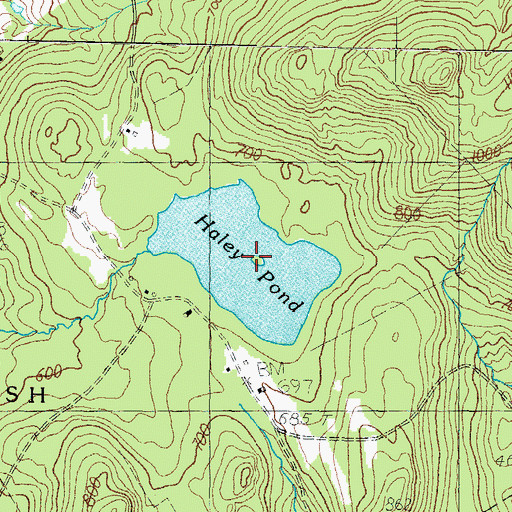Topographic Map of Haley Pond, ME