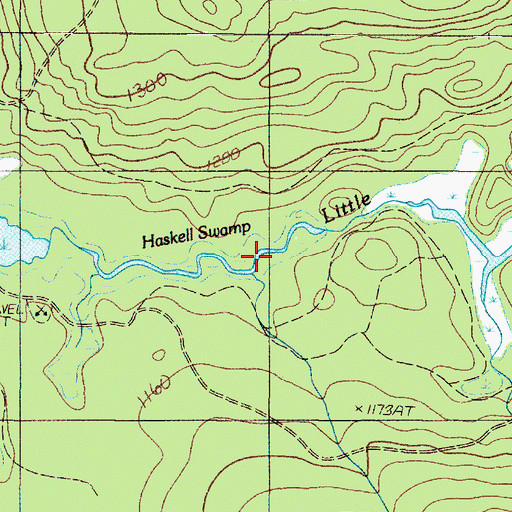 Topographic Map of Haskell Swamp, ME