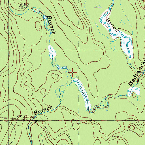 Topographic Map of North Branch Meduxnekeag Stream, ME