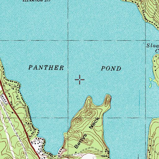 Topographic Map of Panther Pond, ME