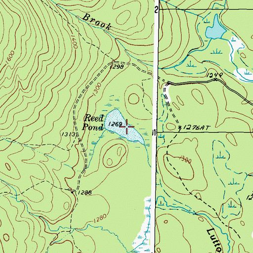 Topographic Map of Reed Pond, ME