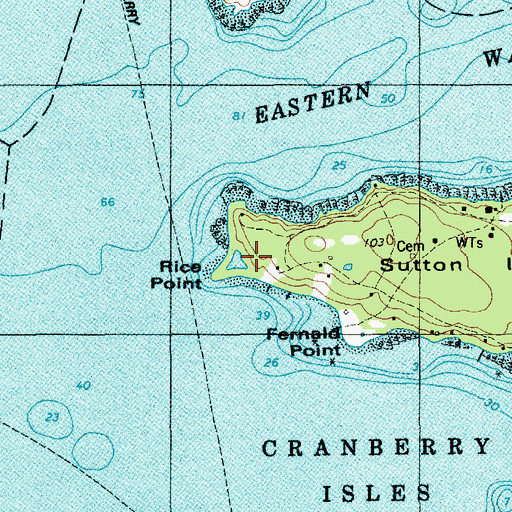 Topographic Map of Rice Point, ME