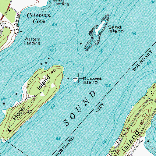 Topographic Map of Rogues Island, ME