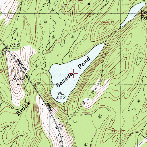 Topographic Map of Savade Pond, ME