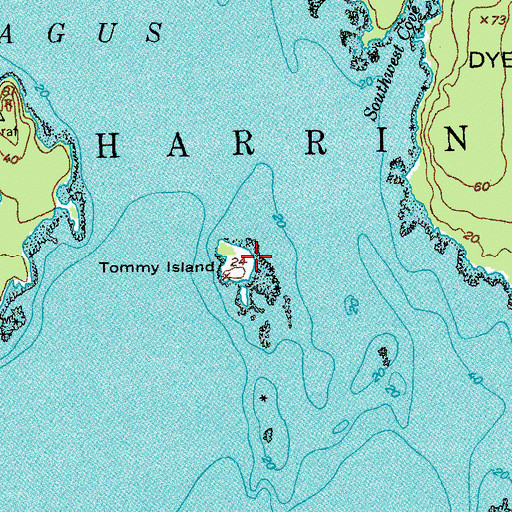 Topographic Map of Tommy Island, ME