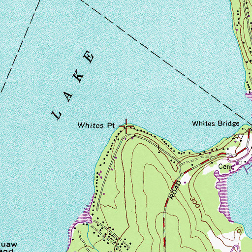 Topographic Map of Whites Point, ME
